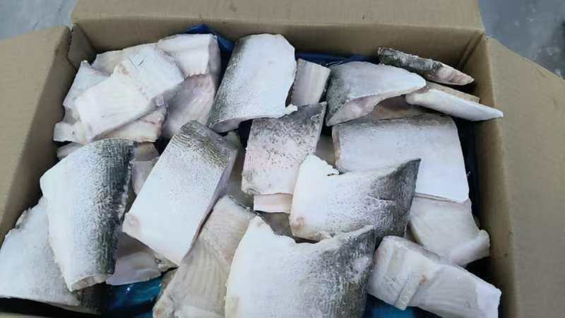 白鲢鱼块品质保证支持视频看货欢迎来电洽谈合作诚信经营