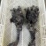 乌鸡架