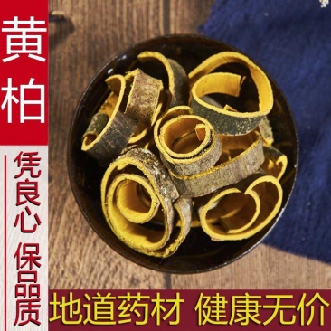 黄柏中药材500g川黄柏片关黄柏树皮泡茶檗木皮黄