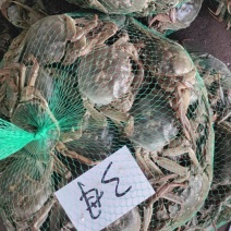 洪湖本地精品货