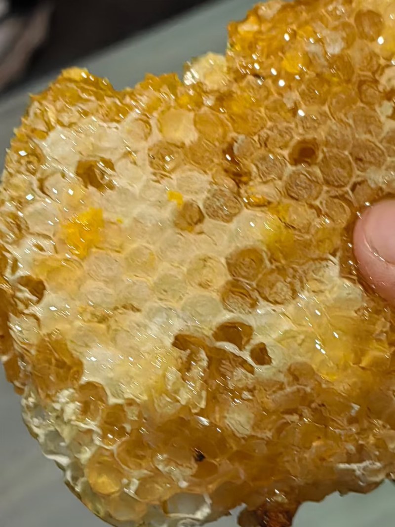 盐源深山正宗土蜂蜜结晶度好纯正小件也能发货全国接单按需