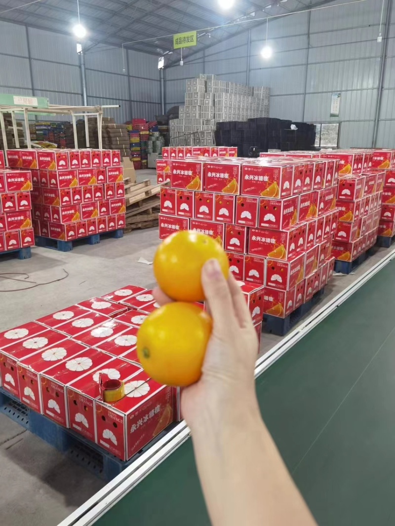 永兴冰糖橙