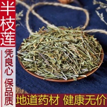 半枝莲草药500g半枝莲中药材另售百白花蛇舌草半枝莲茶铁