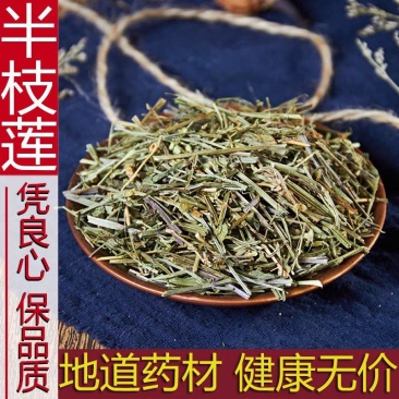 半枝莲草药500g半枝莲中药材另售百白花蛇舌草半枝莲茶铁