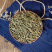 半枝莲草药500g半枝莲中药材另售百白花蛇舌草半枝莲茶铁