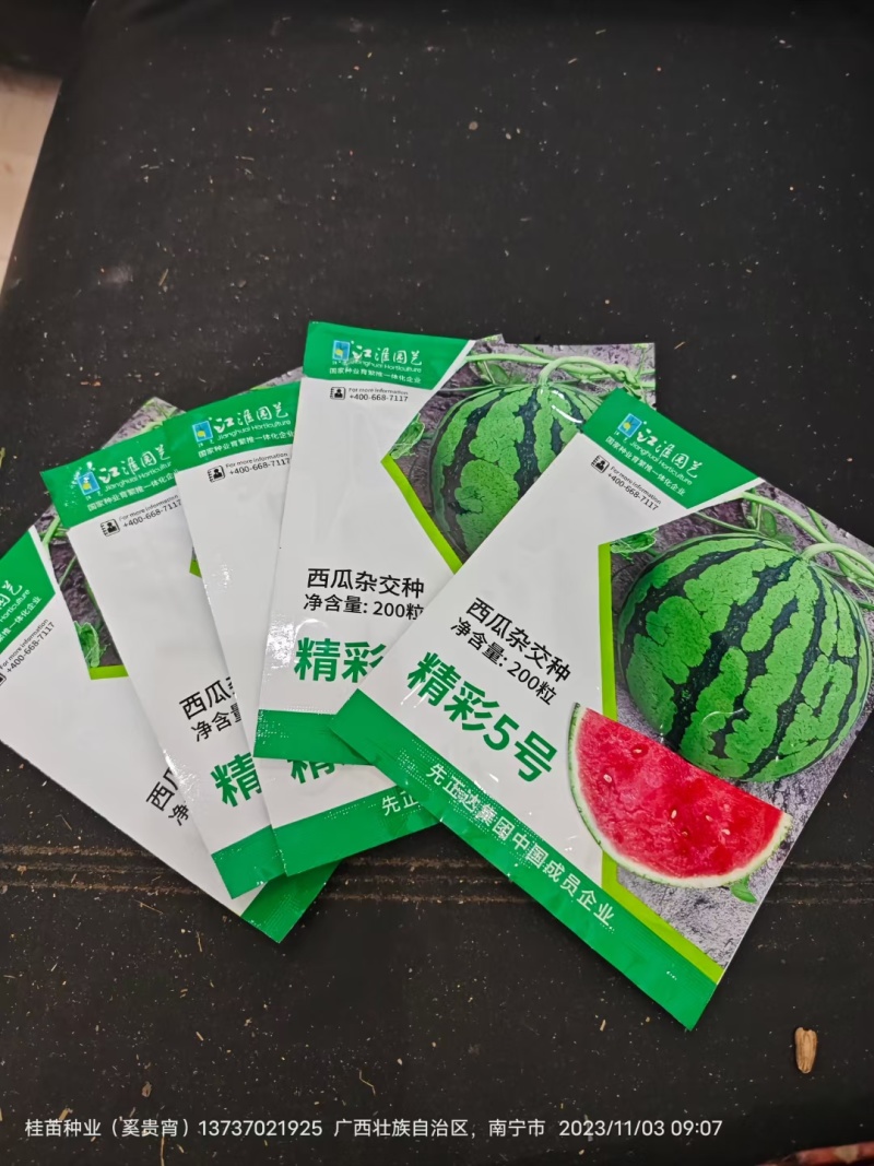 精彩5号先正达西瓜种子果型周正耐裂圆球形含糖14度以上