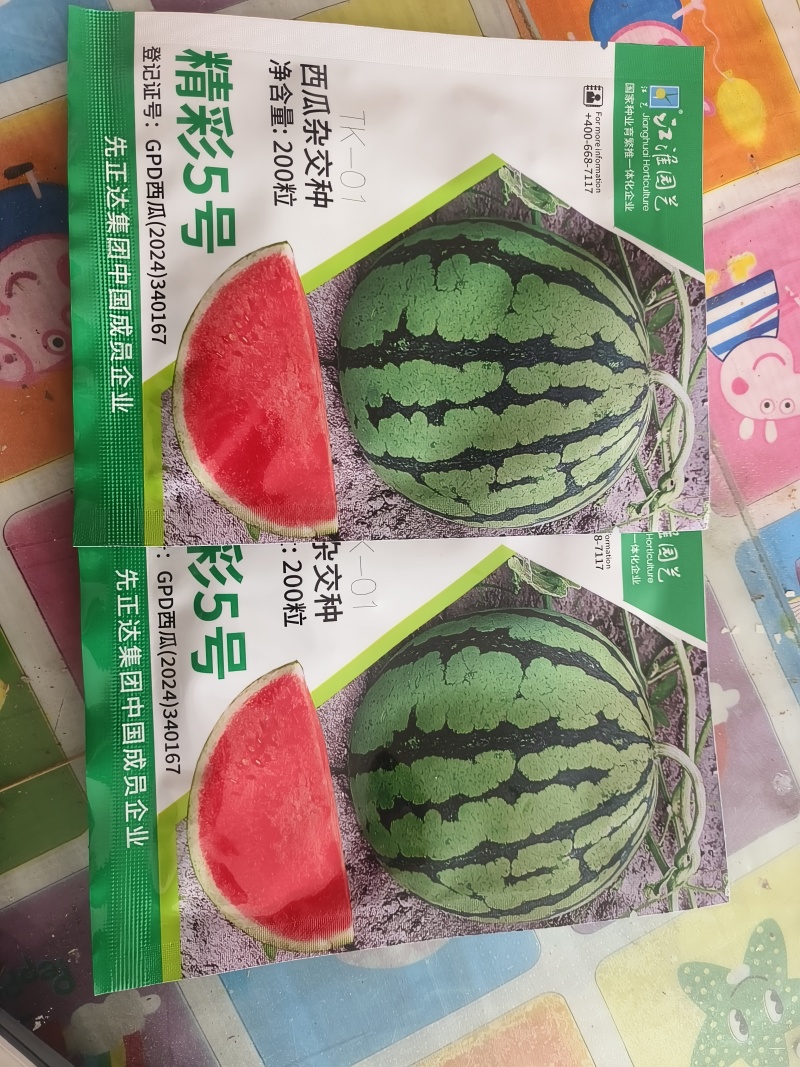 精彩5号先正达西瓜种子果型周正耐裂圆球形含糖14度以上
