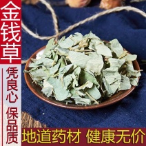 中药材特级野生金钱草泡茶泡水正品新货大叶广金钱草500g