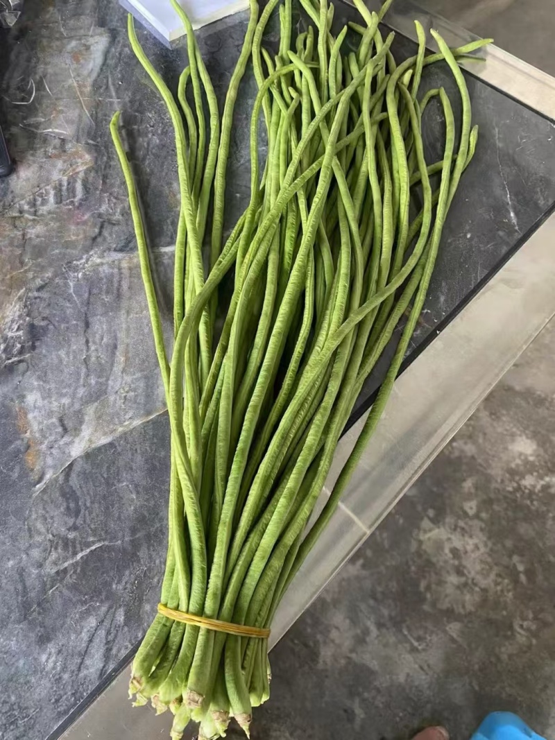 云南缸豆新鲜上市，视频看货，对接商超市场电商社区团购