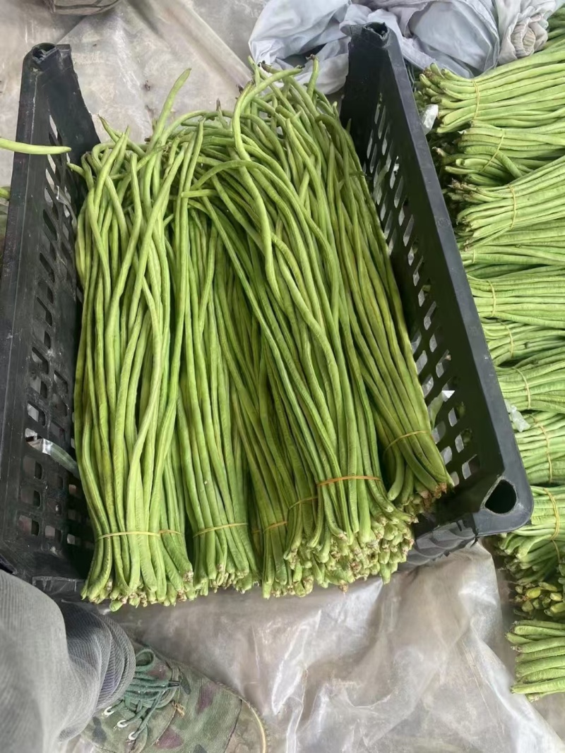 云南缸豆新鲜上市，视频看货，对接商超市场电商社区团购
