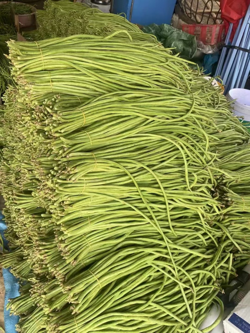 云南缸豆新鲜上市，视频看货，对接商超市场电商社区团购