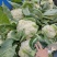 精品松花大量上市