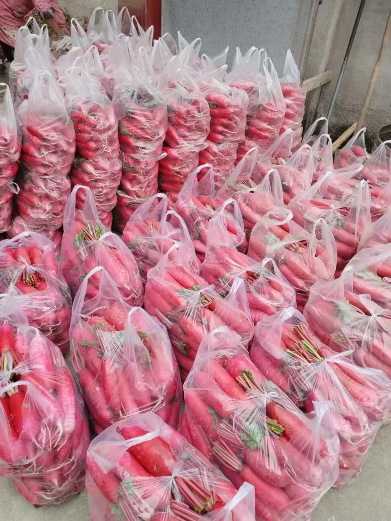 陕西汉中城固精品红皮萝卜质量好，产地直销诚信经营