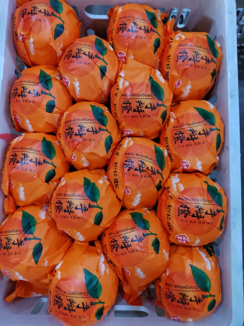 正宗纽荷尔脐橙长虹脐橙产地一手货源大量上市保质保量
