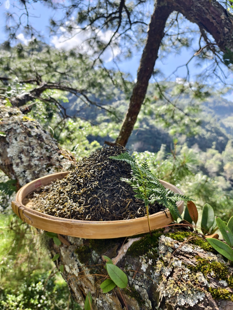 云南南临沧市凤庆县茶叶