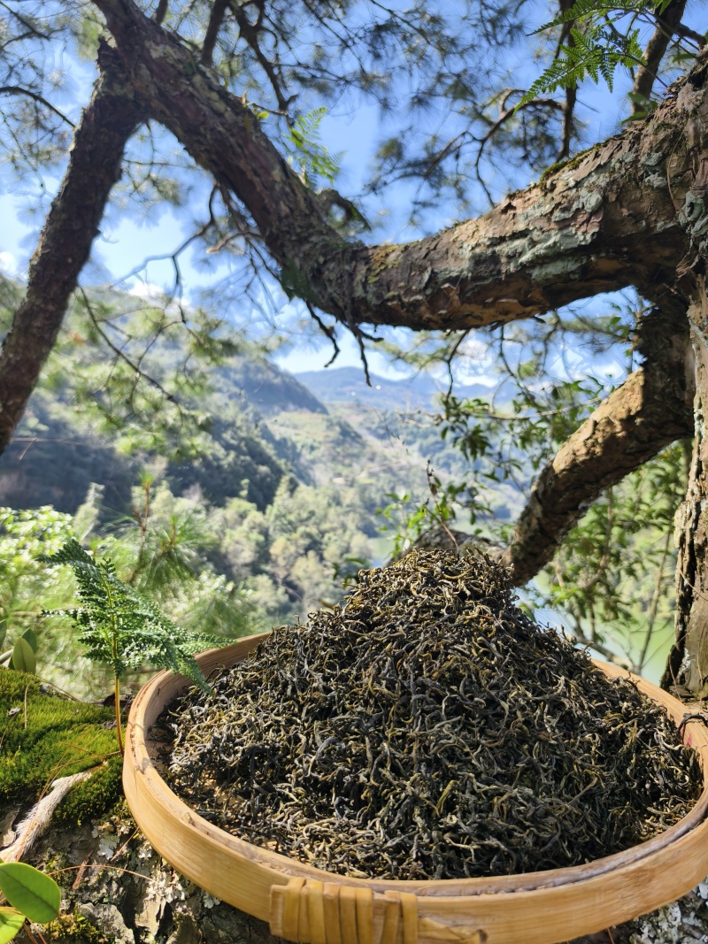 云南南临沧市凤庆县茶叶