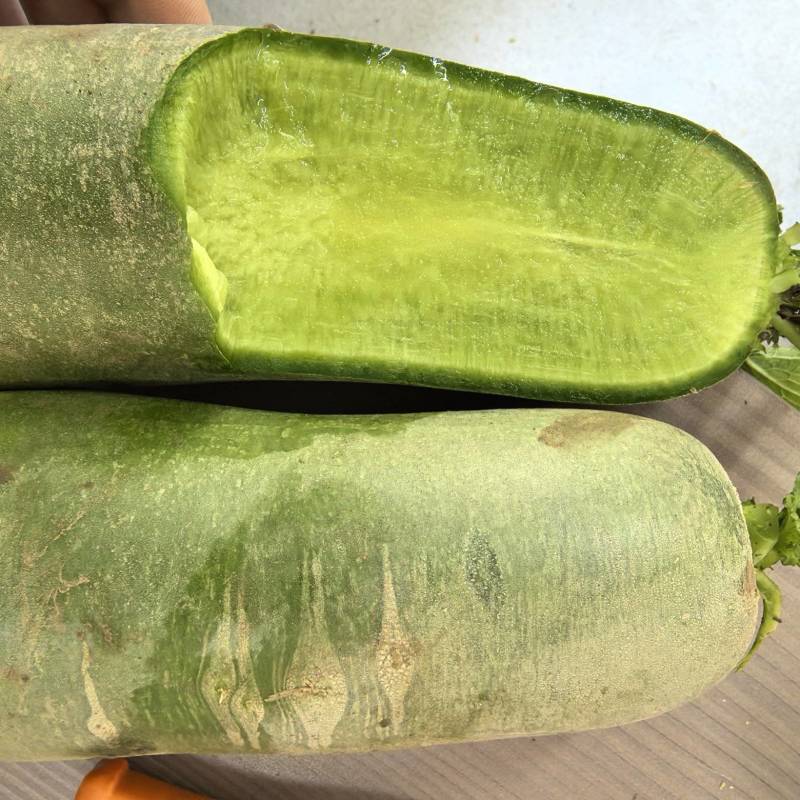 潍坊水果萝卜