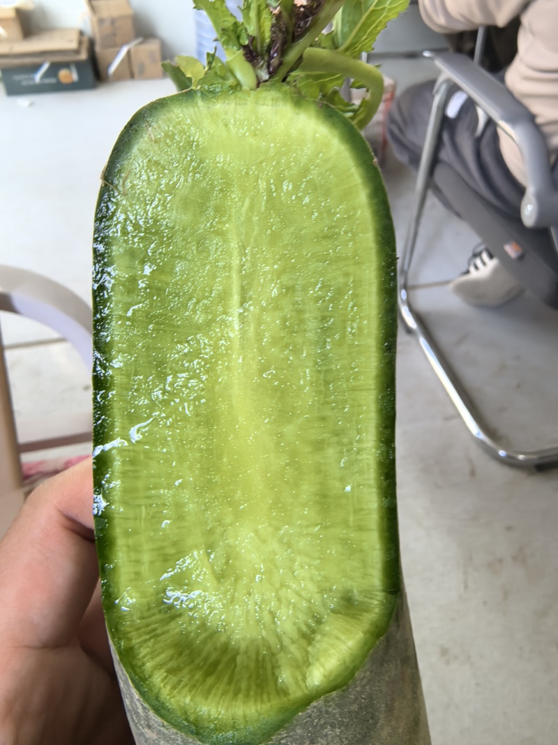 潍坊水果萝卜