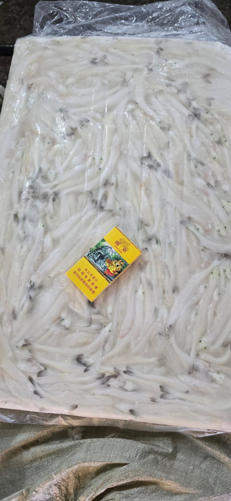 面条鱼，银鱼，淡水银鱼，面条鱼，鸭绿江面条鱼，银鱼