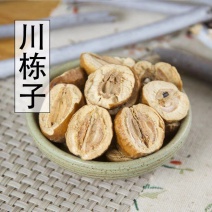 2斤包邮中药材川楝子川练子生川楝子苦楝子楝实金