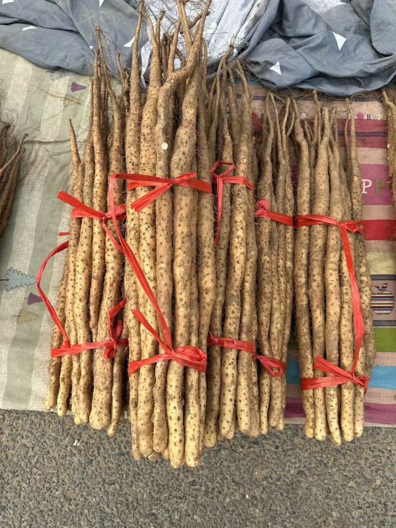 河南焦作温县垆土地铁棍山药软糯香甜滋补养生