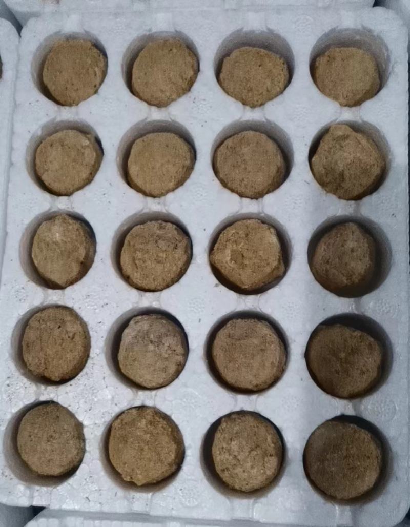 手工鹌鹑蛋变蛋