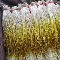 棚头现割，精品蒜黄大量上市