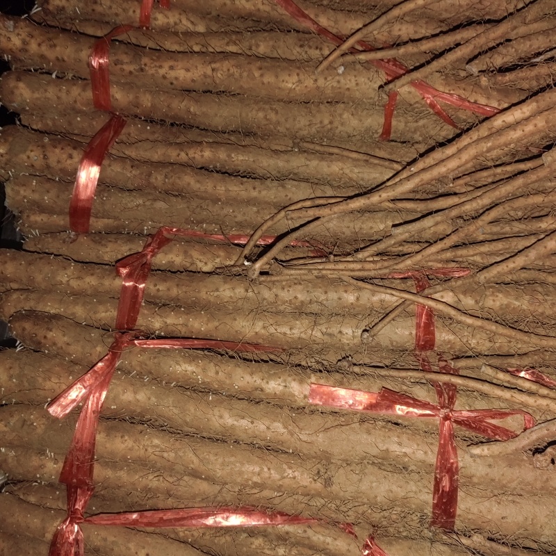 温县铁棍山药大量有货，产地一手货源货源对接全国市场电商