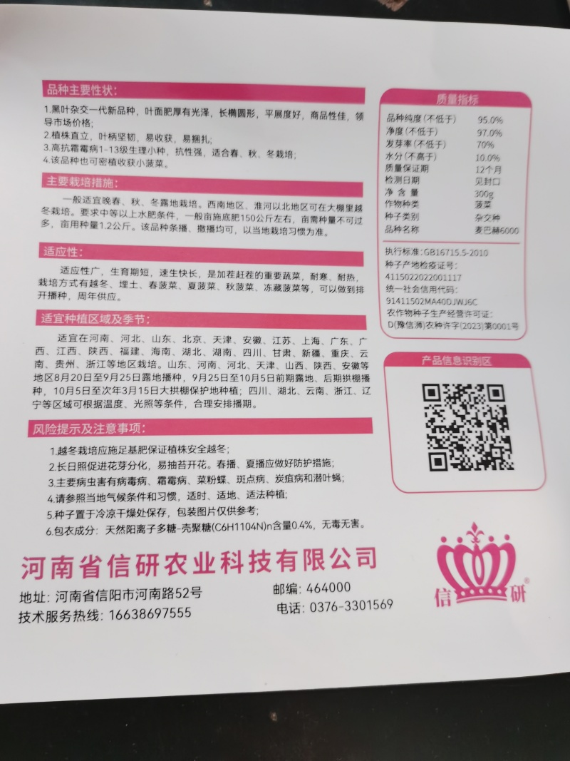 麦巴赫6000菠菜种子深绿光亮抗寒耐抽苔