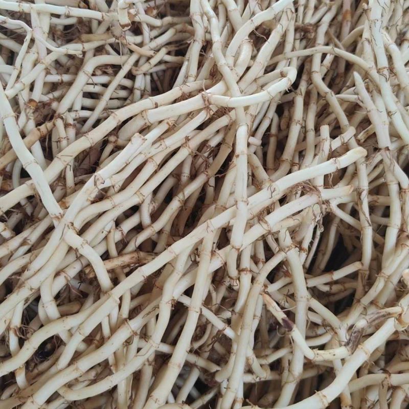 鱼腥草，3.6一斤