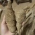 纯野生牛大力