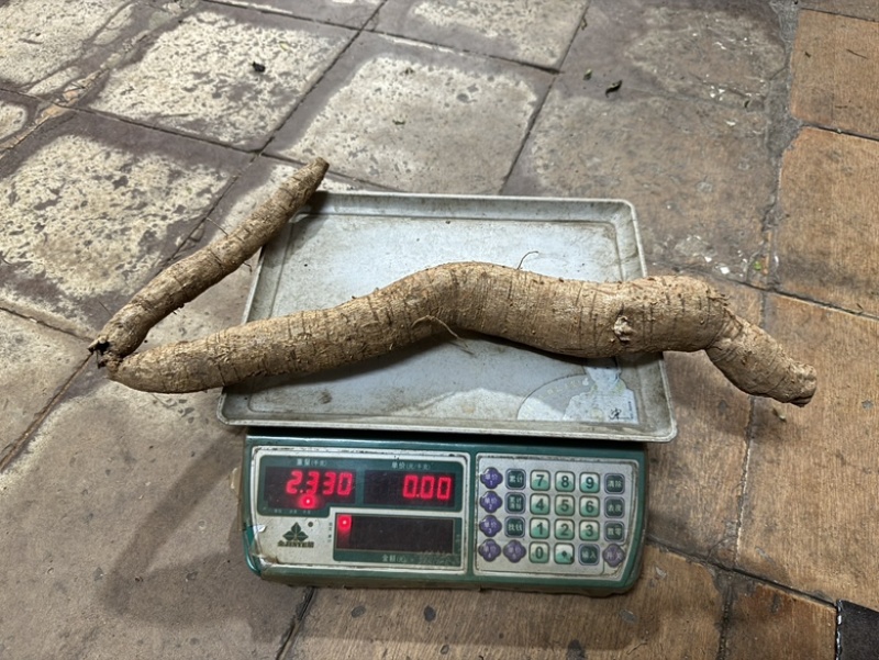 纯野生牛大力
