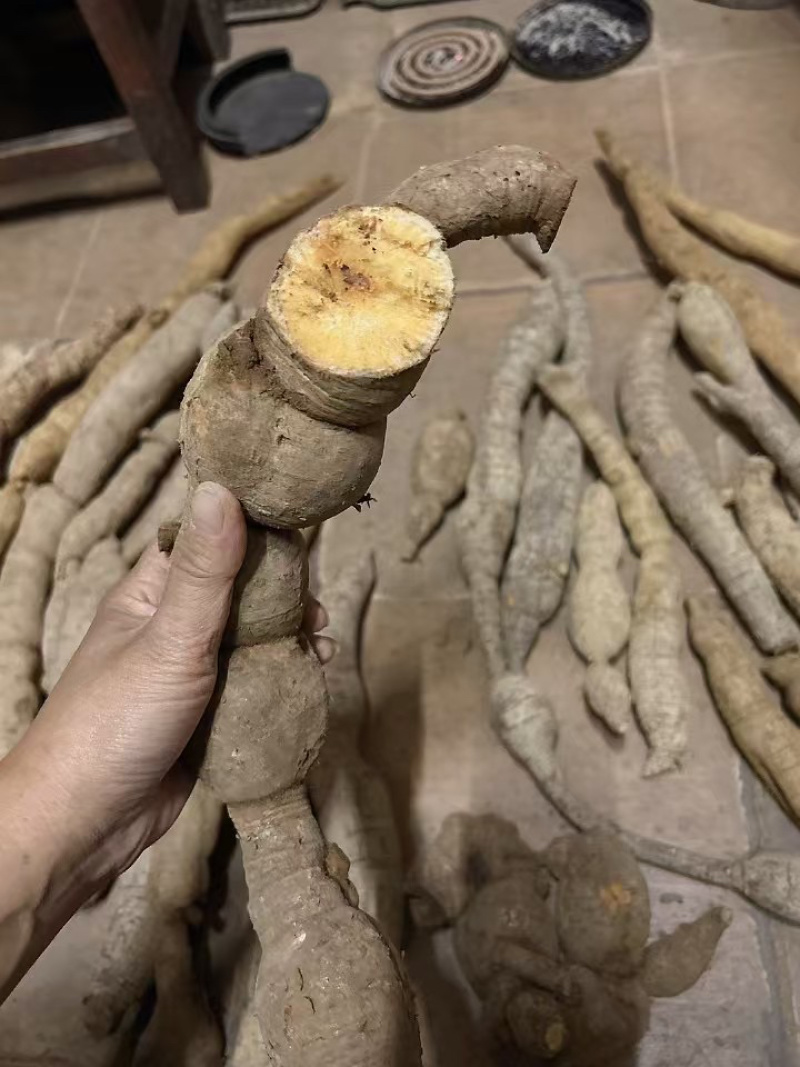 纯野生牛大力
