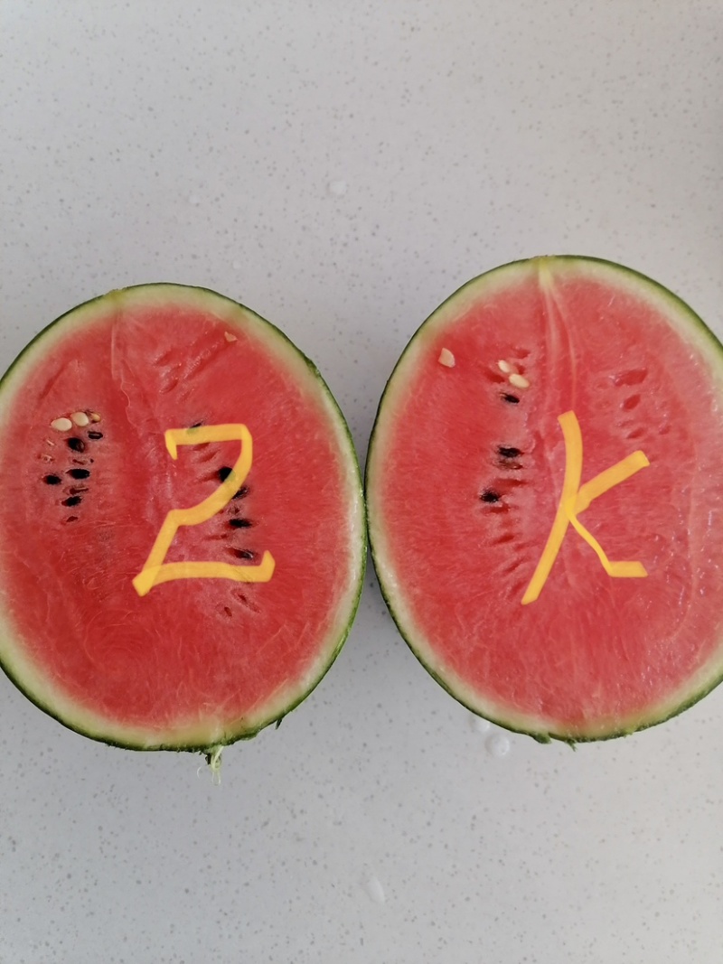 2k吊秧礼品小西瓜