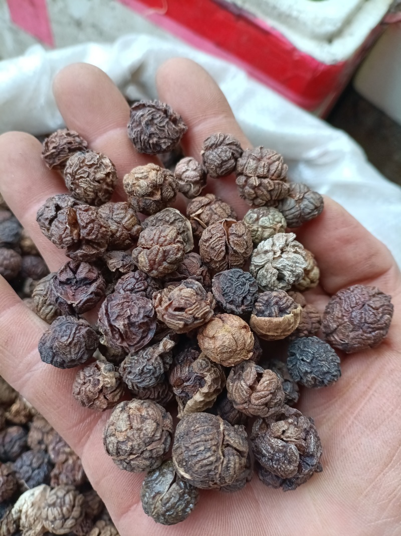草蔻/草豆蔻/精选好货/批发兼零售，量大可商议，全国包邮
