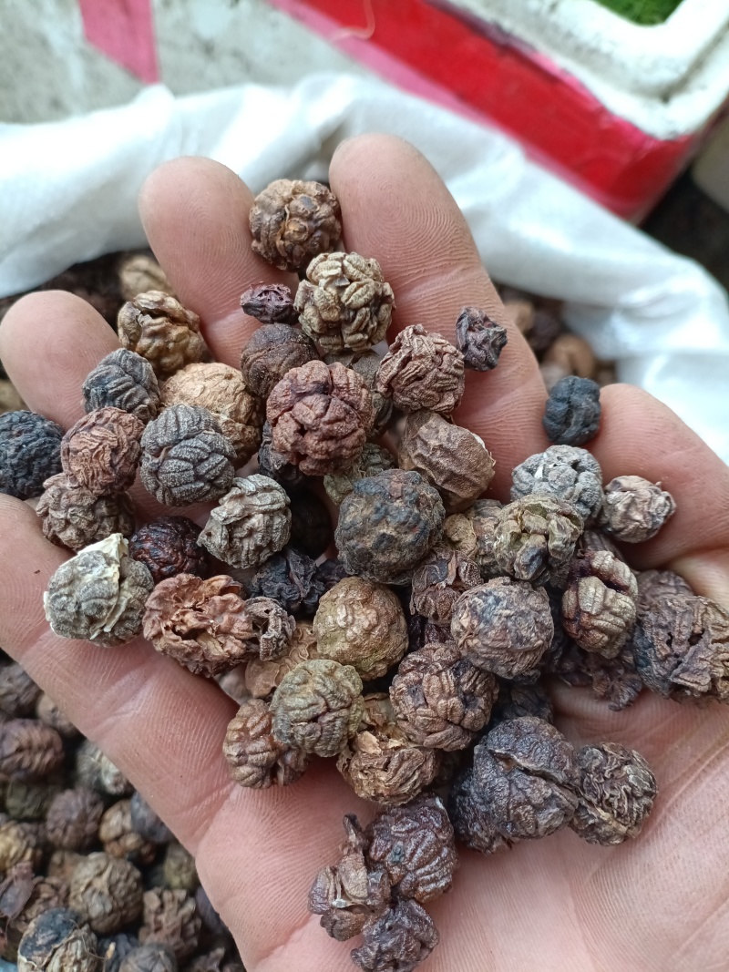 草蔻/草豆蔻/精选好货/批发兼零售，量大可商议，全国包邮