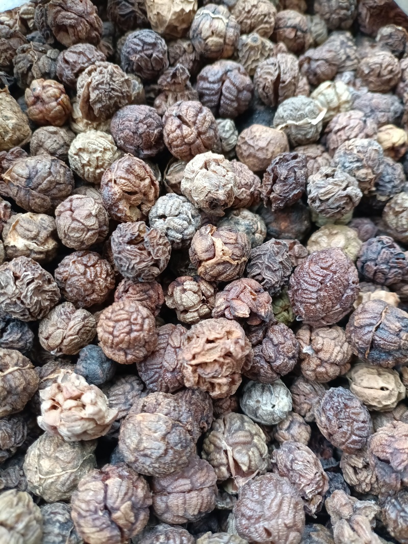 草蔻/草豆蔻/精选好货/批发兼零售，量大可商议，全国包邮