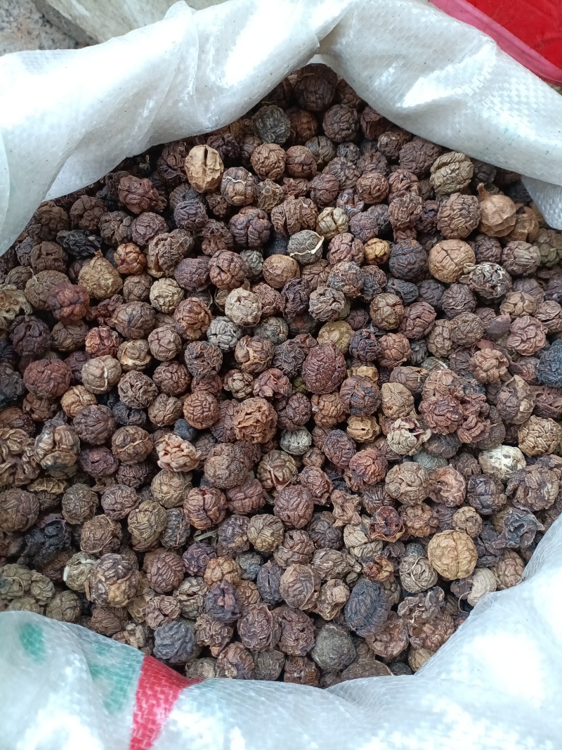 草蔻/草豆蔻/精选好货/批发兼零售，量大可商议，全国包邮