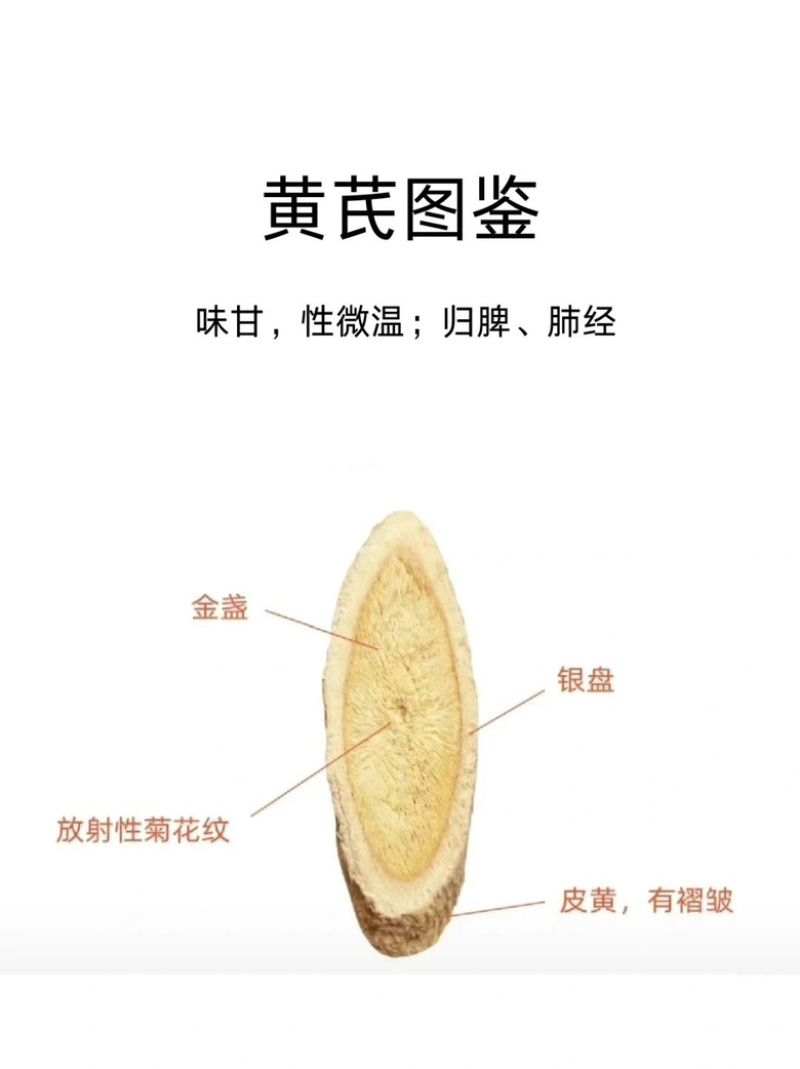 黄芪品质保证诚信经营欢迎联系接商超市场电商