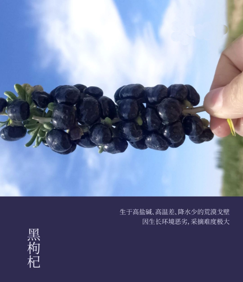 宁夏黑枸杞原浆品质保证厂家发货接商超市场电商