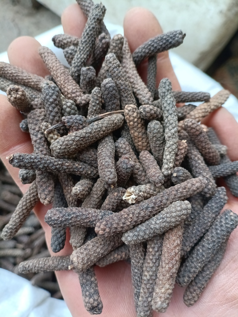 荜拨/碧波/毕波/精选好货/批发兼零售，量大可商议，包邮