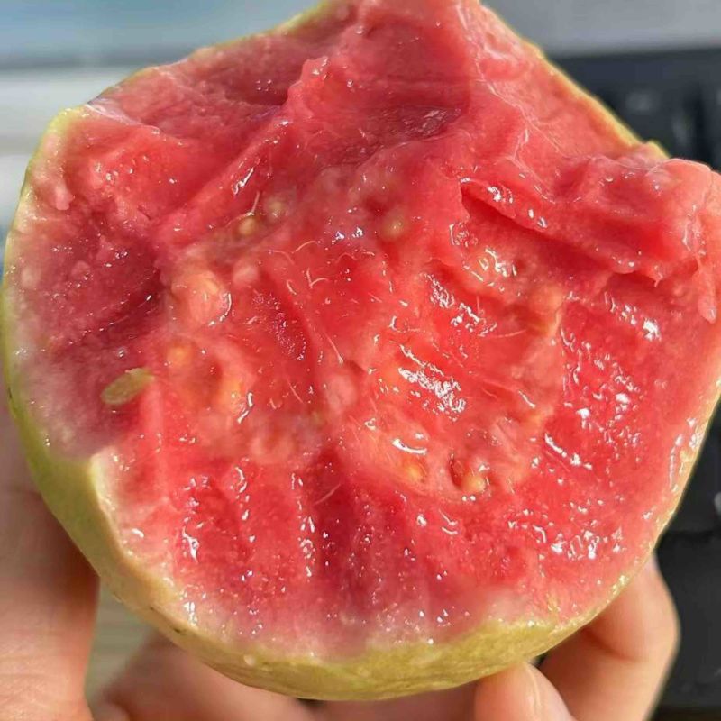 承接各个平台一件代发，保质量，自己也在做电商直播等业务