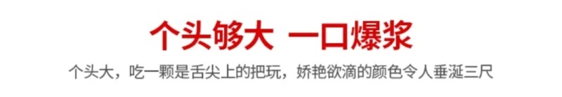 对接淘宝京东直播私域团购包邮包售后