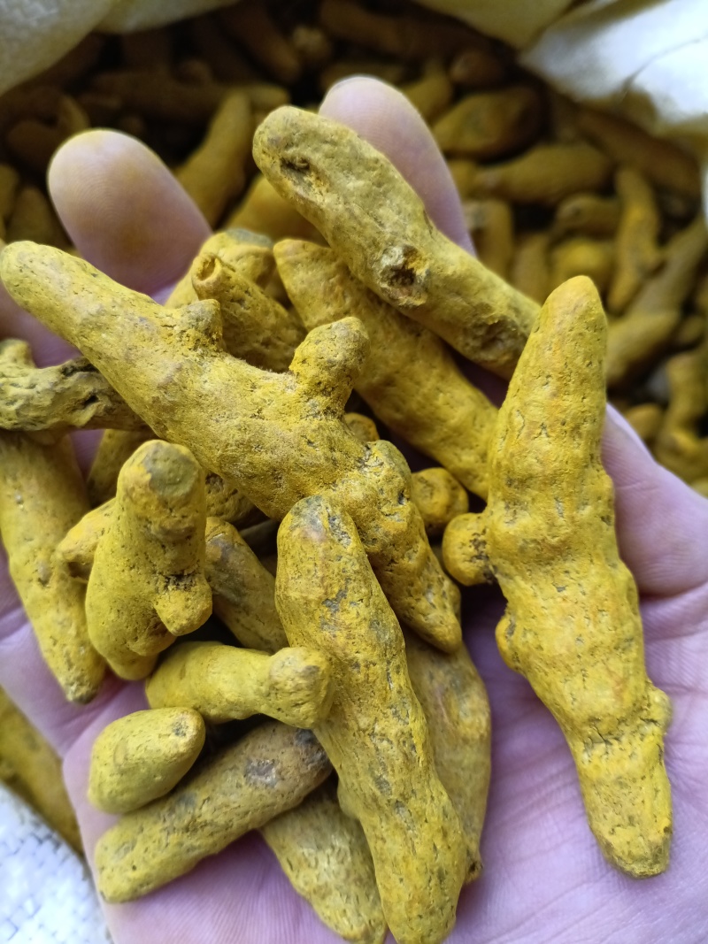 姜黄/精选好货/批发兼零售，量大可商议，全国包邮