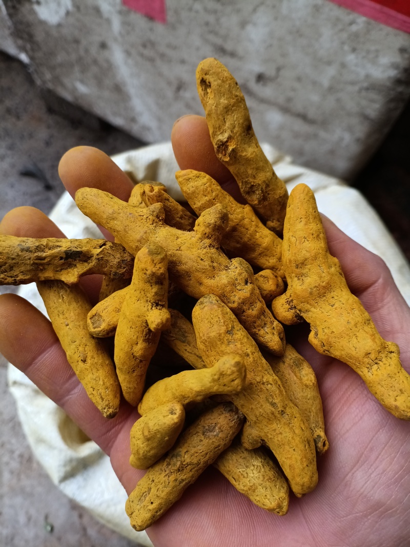 姜黄/精选好货/批发兼零售，量大可商议，全国包邮