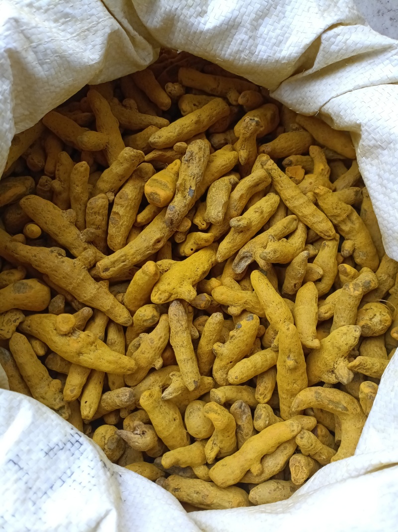 姜黄/精选好货/批发兼零售，量大可商议，全国包邮