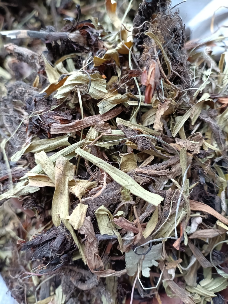 甘松/水洗甘松/精选好货/批发兼零售，量大可商议，包邮