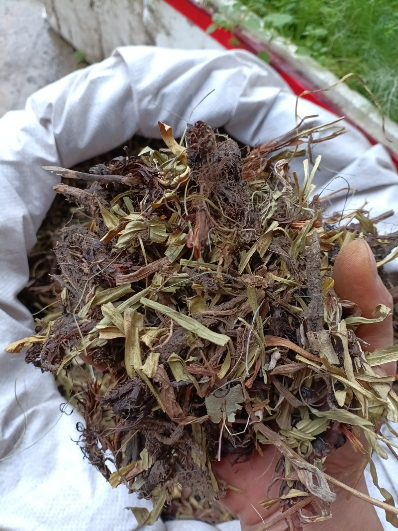 甘松/水洗甘松/精选好货/批发兼零售，量大可商议，包邮