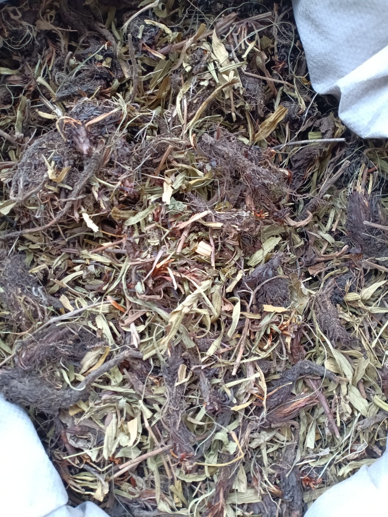 甘松/水洗甘松/精选好货/批发兼零售，量大可商议，包邮