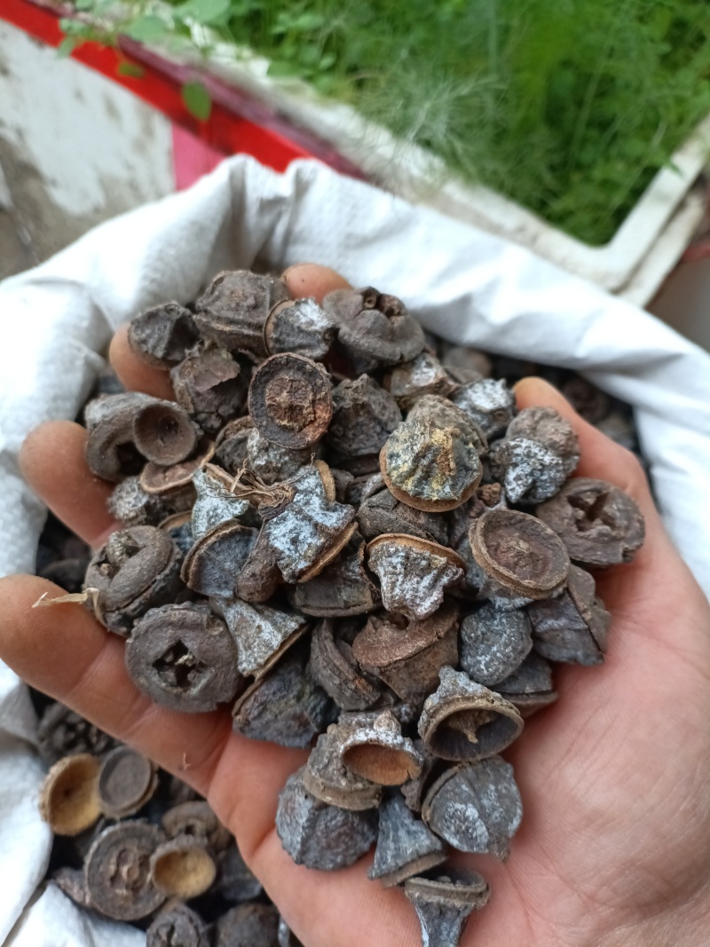 一口钟/精选好货/批发兼零售，量大可商议，全国包邮
